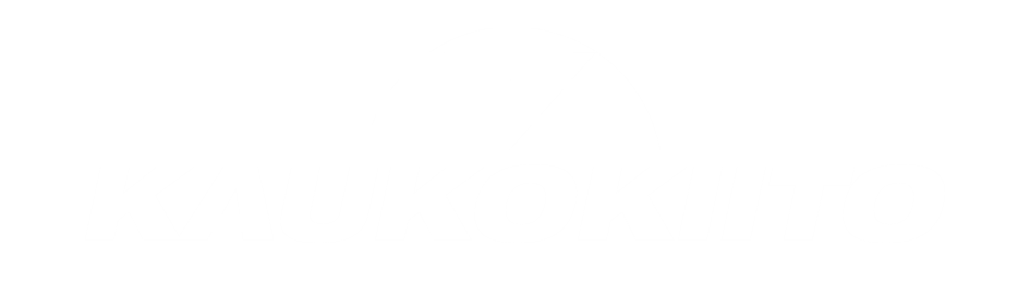 Kaukokiito